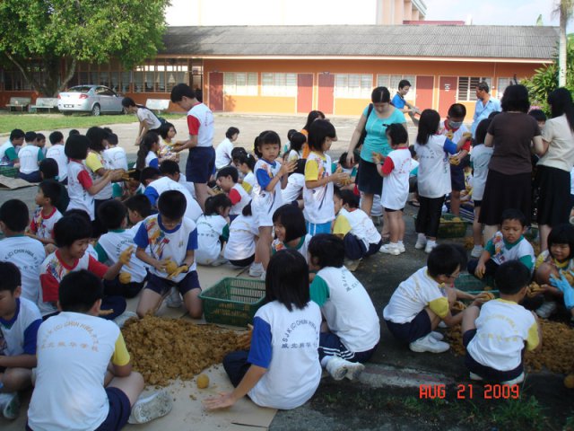 11Murid-murid SJK (C) Chin Hwa, Pinang Tunggal membuat mud ball pada 27-8-2009